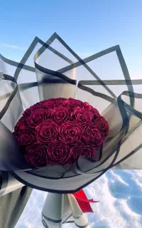 گل رز جاودان