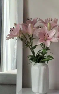 راهنمایی