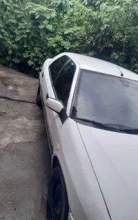 زانیتا۸۷