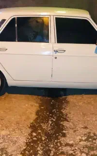 پیکان مدل ۸۲