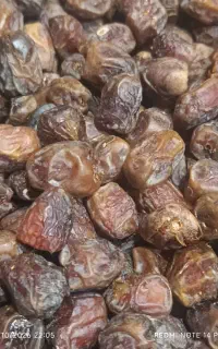 خرما مرداسنگ دانه درشت ودرجه یک