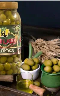 استخدام
