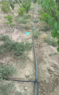 لوله کشی قطره ای کشاورزی