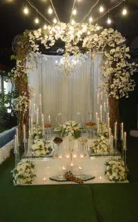 سالن عقد ققنوس