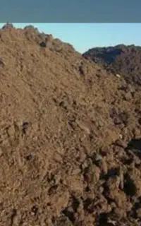 فروش کود کوسفندی