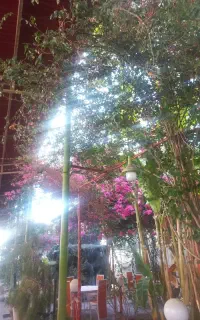 کارگر برای سفره خانه