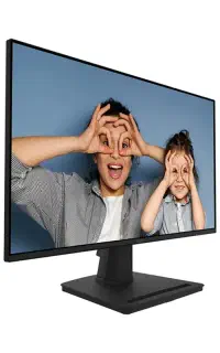 مانیتور حرفه ای MSI PRO MP252