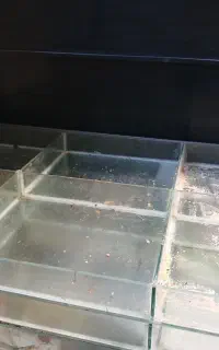 شیشه آجیل