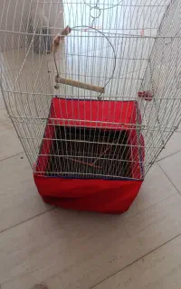 قفس عروس هلندی