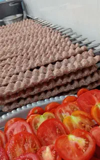 کارگر ساده جهت کار در آشپزخانه