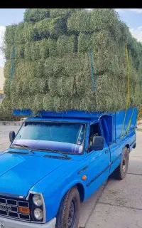 پرس یونجه  خوب خشک خشک