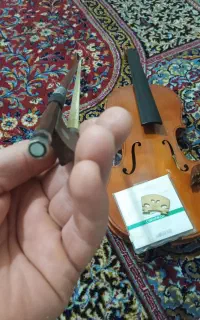 ویولن حرفه ای