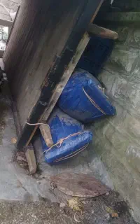 تویوپ تراکتور