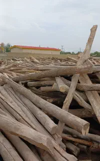 از سقف دراومده