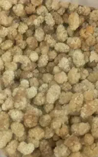 توت خشک  مشهدی  روی توری خشک شده  کاملا بهداشتی