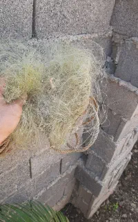 خریدارتورماهیگیری چشمه۳