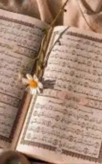 سر کتاب دعا فال و ملا