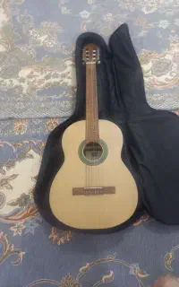 گیتار بنبرگ