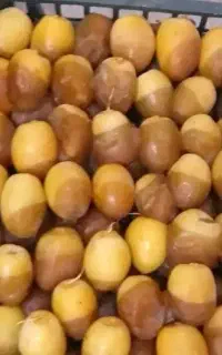 رطب برحی