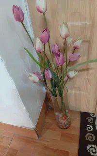 فرش گل با گلدان قفس عروس هلندی