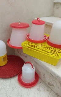 آبخوری و دانخوری جوجه و بلدرچین و کبوتر و...
