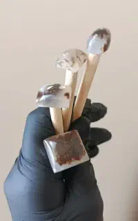 آموزش تخصصی نگین تراشی