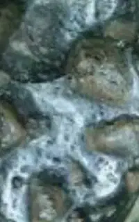 انواع سنگ قیمتی و شهاب