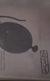 کتاب کنکوری تجربی