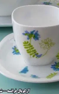ظروف سرو و پذیرایی(کاملا نو)