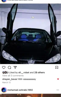 ۲۰۶اصل فرانسه تیپ۱فرانسوی