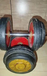 دمبل ۱۲kg
