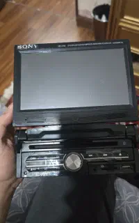 ظبط