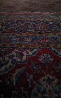 نظافت و تمیزکاری