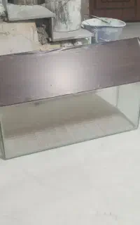 آکواریوم