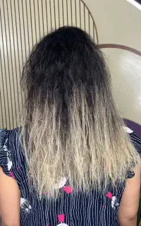 فراخون تعدادی مدل برای احیا وصافی مو