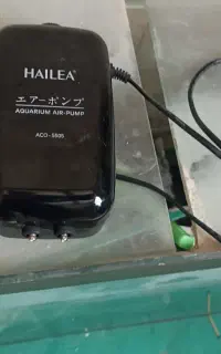 آکواریوم ماهی