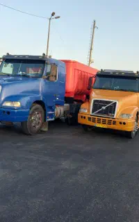 دوعددانهاش ۸۶ سلامت