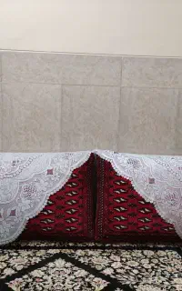 یک جفت پشتی بزرگ