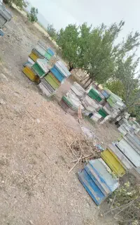 کندو