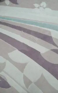 دو عدد گلیم ۱۲متری