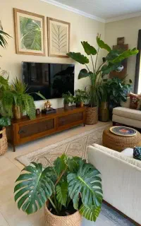 خدمات باغبانی گلکاری کاشت گل درختکاری باغچه کاری