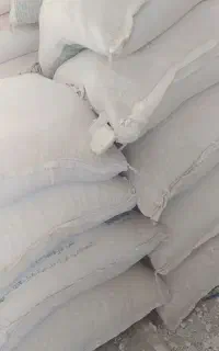 گچ رضا