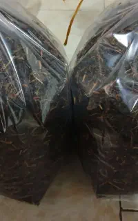چایی محلی