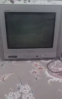 تلوزیون