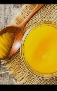 روغن حیوانی اصل