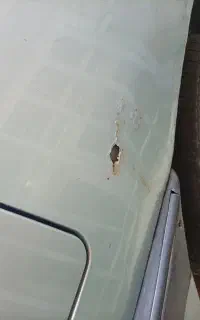 روا مدل 85