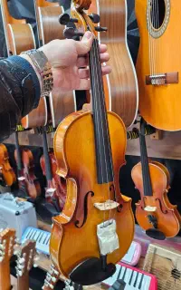 ویولن تی‌اف 142