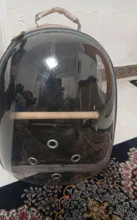 کیف حیوانات