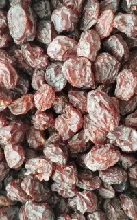 مویز و کشمش