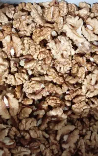 مغز گردو درجه 1  مغز کدو درجه 1